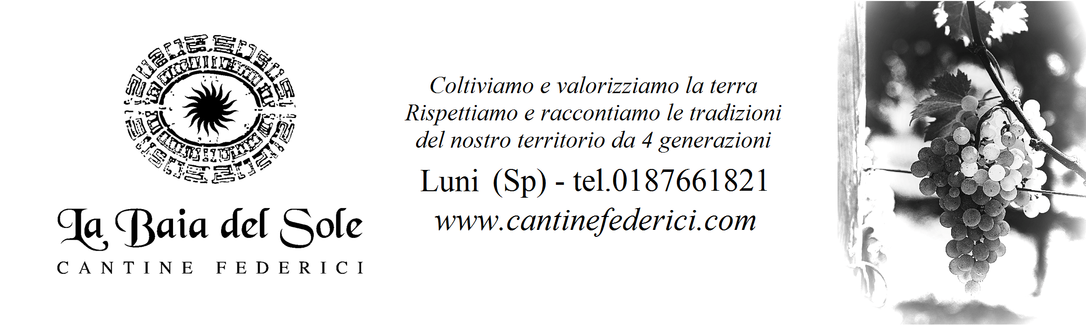 Logo federici