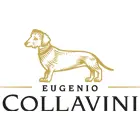 Logo Collavini