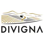 Logo Divigna